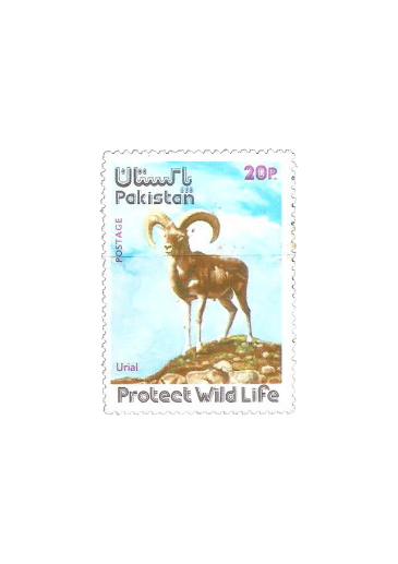 1975 PK400 Wild Life Series Urial