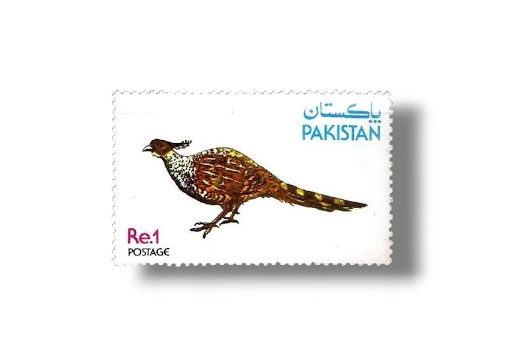 1979 PK496 Wild Life Series Cheer Pheasant