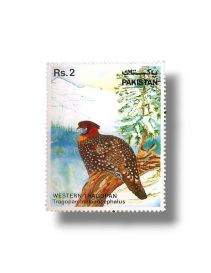 1981 PK573 Wild Life Series Western Tragopan