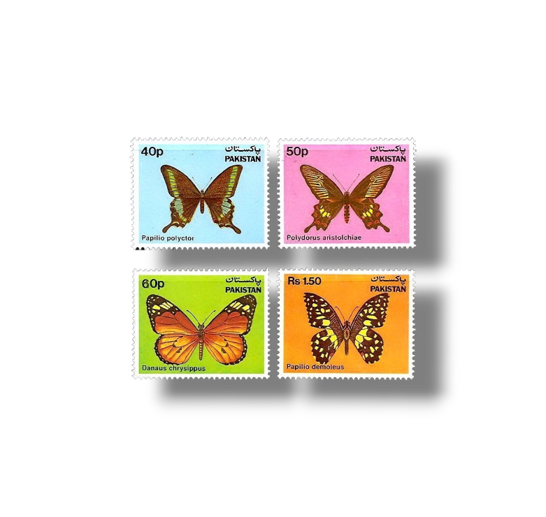 1983 PK594s Butterflies
