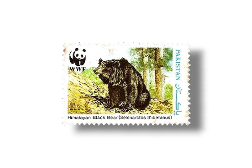 1989 PK783 Wildlife protection Asiatic Black Bear Ursus thibetanus