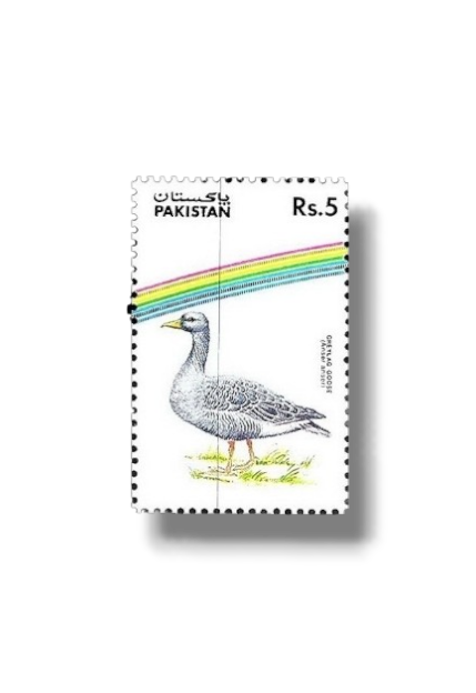 1992 PK884 Water Birds Greylag Goose