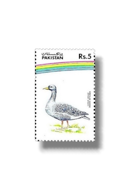 1992 PK885 Water Birds Greylag Goose