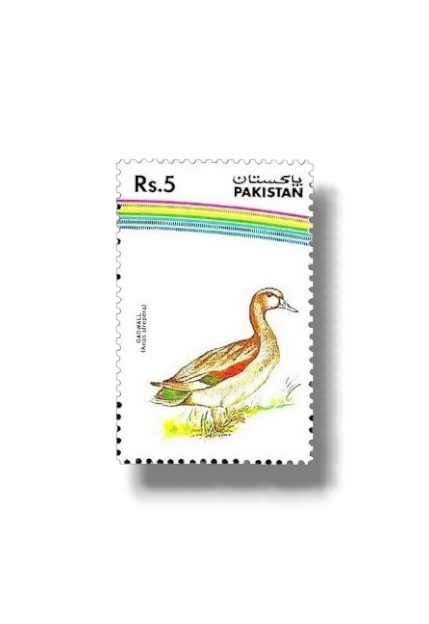 1992 PK890 Water Birds Gadwal