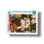1995 PK989 50th Anniversary of United Nations