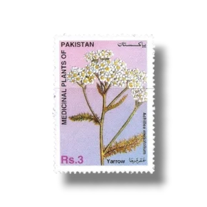 1996 PK1010 Yarrow
