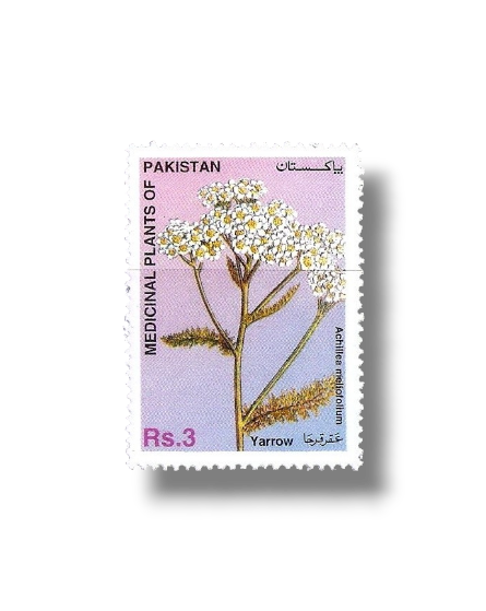 1996 PK1010 Yarrow