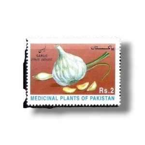 1997 PK1026 Medicinal Plants Garlic