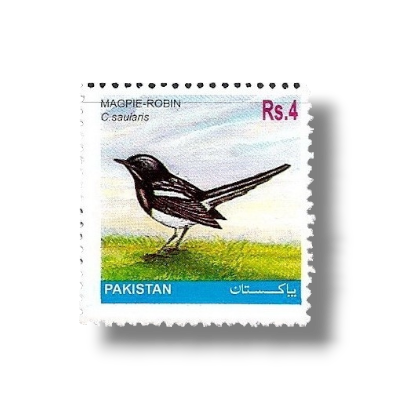 2001 PK1148 Oriental Magpie-robin Copsychus saularis