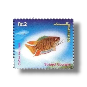 Popular Aquarium Varieties of Tropical fish