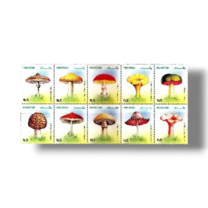 Mushrooms