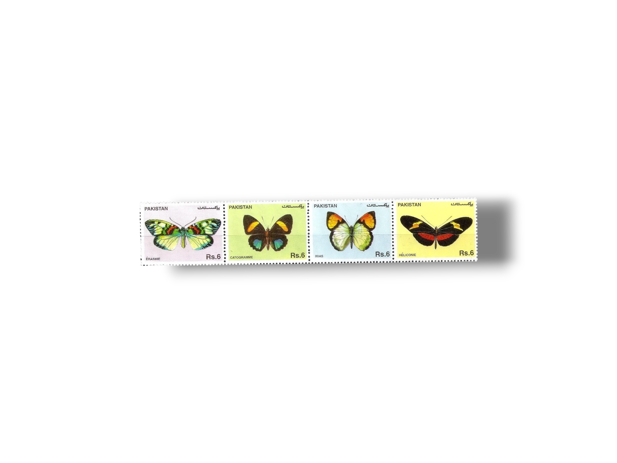 Butterflies