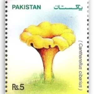 Mushrooms