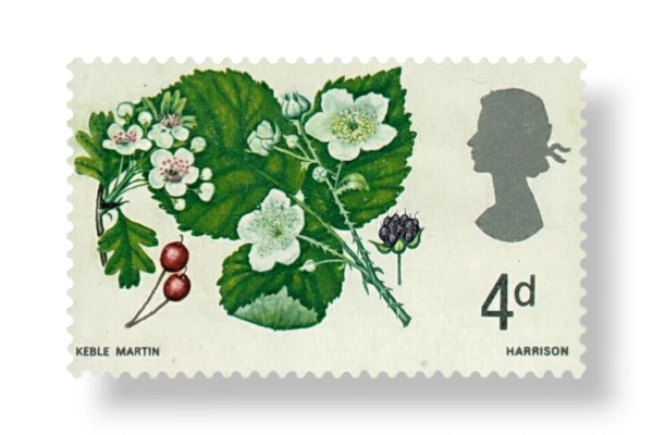 Hawthorn