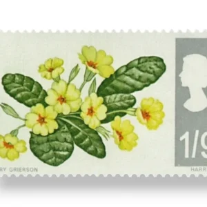Primrose