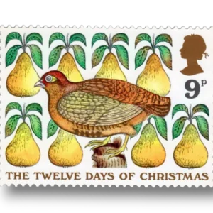 Partridge