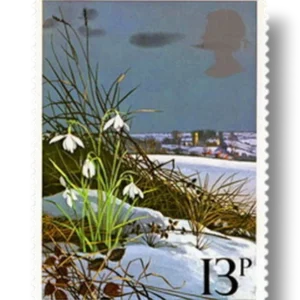 Snowdrop