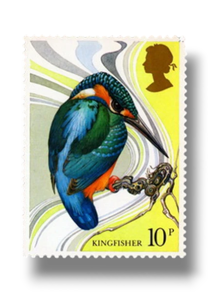 Kingfisher
