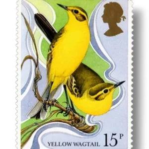 Wagtail