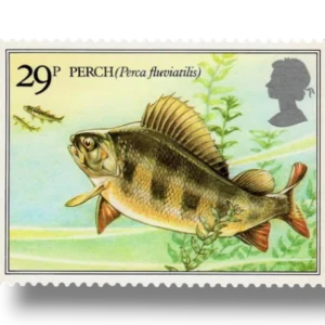 Eurasian