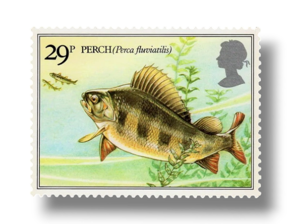 Eurasian
