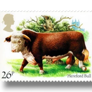 Hereford