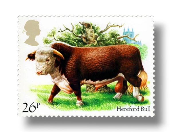 Hereford